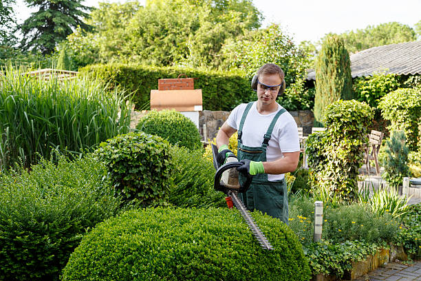 Best Tree Preservation Services  in Courtland, VA